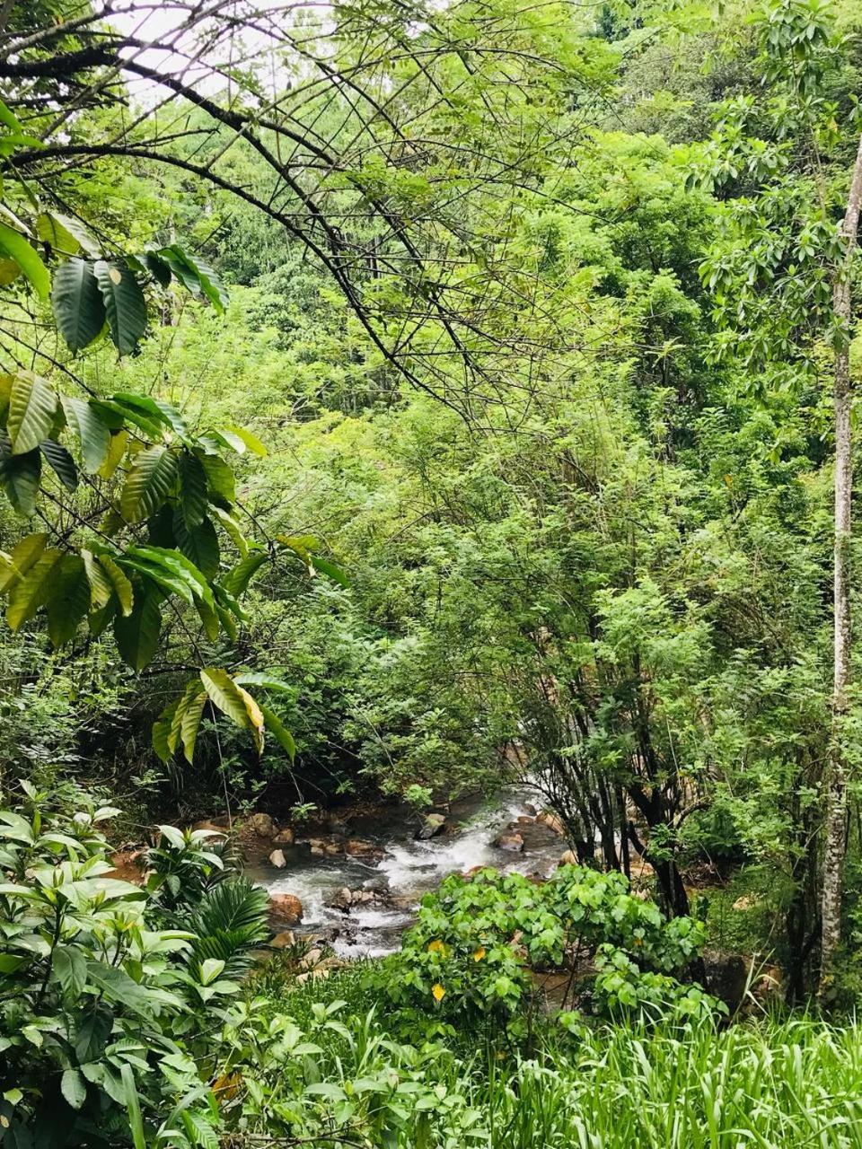 Horizon View Bed & Breakfast Kandy Luaran gambar